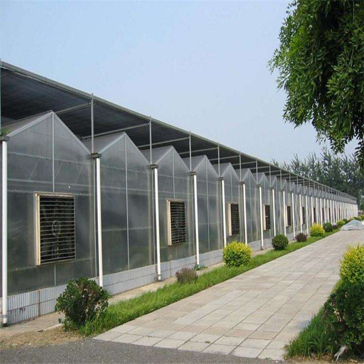 天津二期薄膜温室